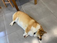 -阿木舂记·特色小吃(平江路店)