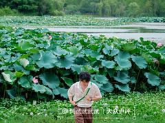 -白鹭湾湿地公园