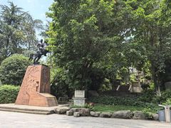 -桂湖森林公园