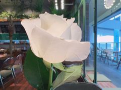 -岛风·台食小馆 ISLAND BISTRO(烟台山店)