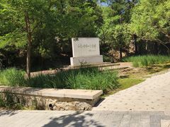 -白水寺森林公园