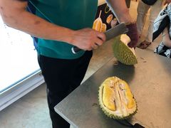 -都念榴莲·城市榴莲