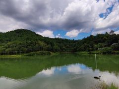 -广州白江湖森林公园