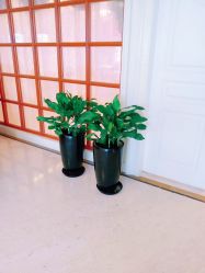 -安琪儿妇产医院·医养月子中心