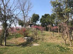 -鹅湖玫瑰文化园