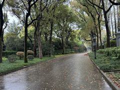 -上海虹桥迎宾馆