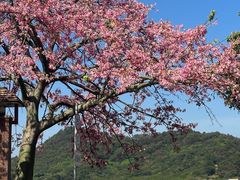 -风云岭森林公园