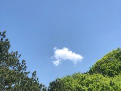 -少华山国家森林公园