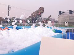 -菊园百果园