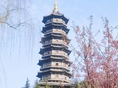 -重庆园博园