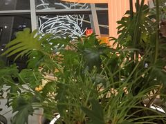 -枕水江南(铁西万象汇店)