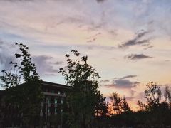 -吉林大学(前卫南区)