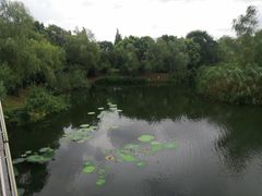 -尚贤河湿地