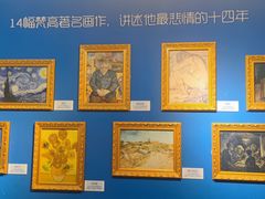 -上海梵高星空艺术馆(南京路旗舰店)