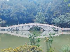 -铁山坪森林公园