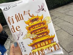 -黄鹤楼公园(黄鹤楼)