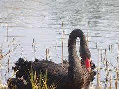 -昆山城市生态森林公园