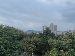-福道