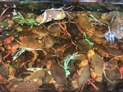 -ZF Seafood Restaurant 卓峰海鲜餐