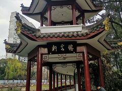 -温江公园