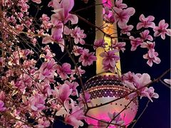 -东方明珠广播电视塔