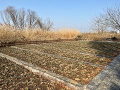 -同里国家湿地公园