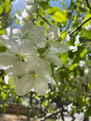 -美画·轻奢美甲美睫