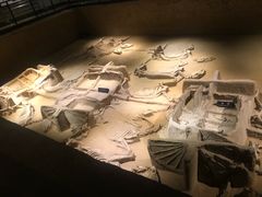 -洛阳周王城天子驾六博物馆