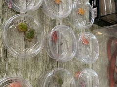 -中环花鸟鱼虫市场