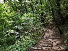 -北京上方山国家森林公园