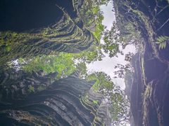 -梭布垭石林景区