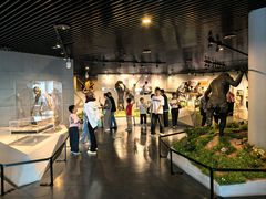 -北京周口店北京人遗址博物馆