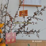 带着🈵️🈵️祝福“跨年”·