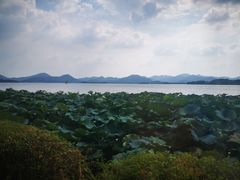 -湖畔居茶楼(湖滨店)