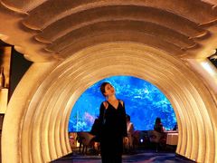 -迪拜帆船酒店海底餐厅