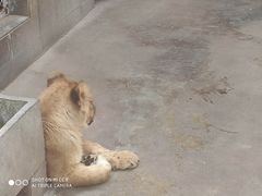 -西安秦岭野生动物园