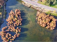 -白鹭湾湿地公园