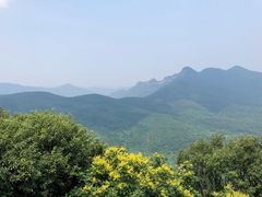 景点-少林寺景区