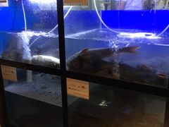 水产区-严厨老坛酸菜鱼(吴江万宝店)