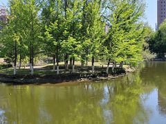 -长白岛森林公园