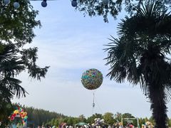 -黄海国家森林公园