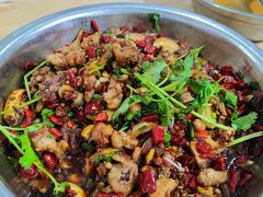 -食神又名厕所兔