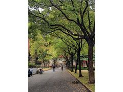-上海财经大学(国定路校区)