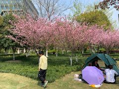 -杭州城北体育公园