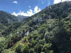 -神户市立六甲山牧场