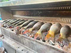 -杨合林啊兰烤鱼