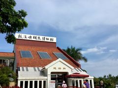 -鼓浪屿钢琴博物馆