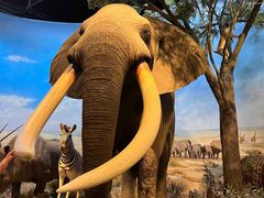 -陕西自然博物馆