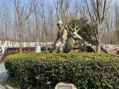 -溱湖国家湿地公园