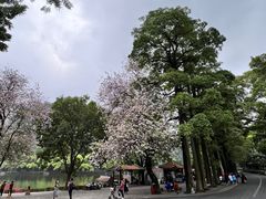 -星湖旅游景区七星岩